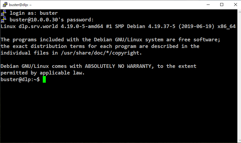 Debian 10 Buster Openssh パスワード認証 Server World