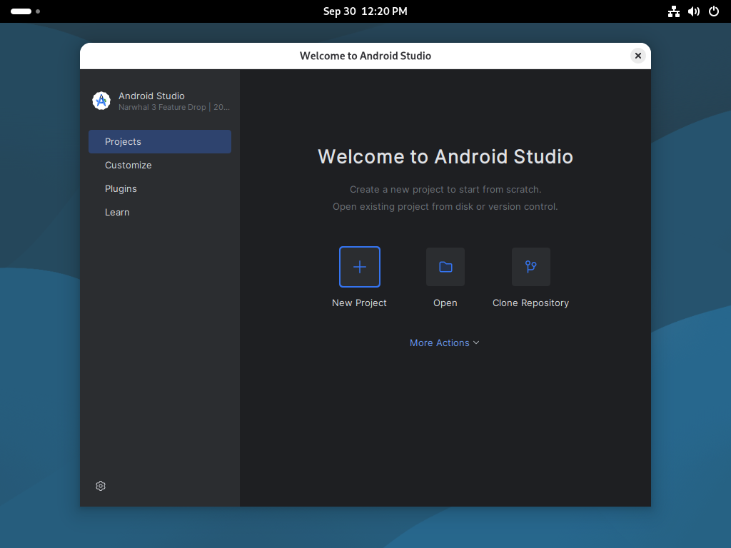Debian 13 trixie : Flutter : インストール : Server World