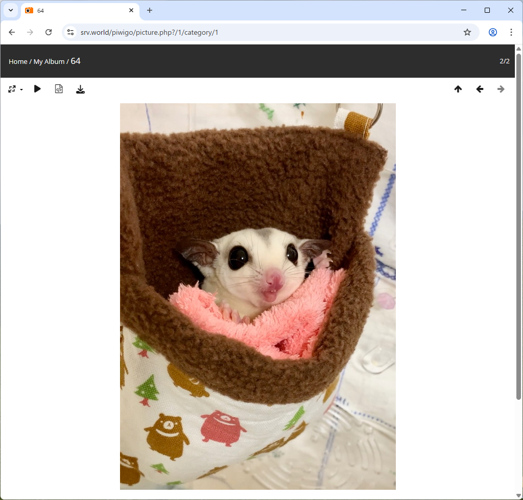 Debian 13 trixie : Apache2 : Photo Gallery : Piwigo : Server World