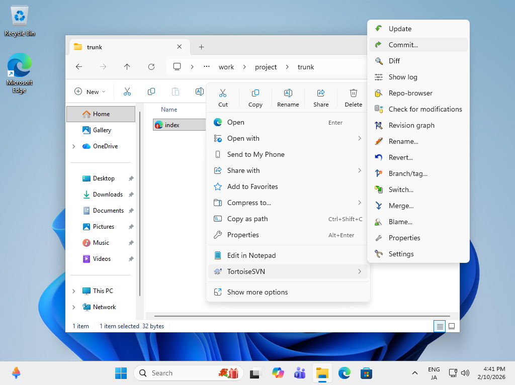 FreeBSD 15 : Subversion : Access from Windows Clients : Server World