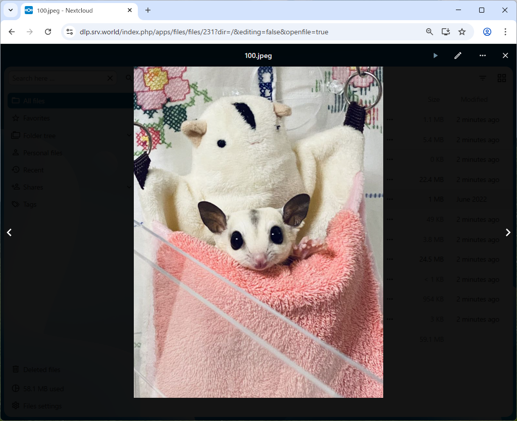 openSUSE Leap 16 : NextCloud : Upload Files : Server World