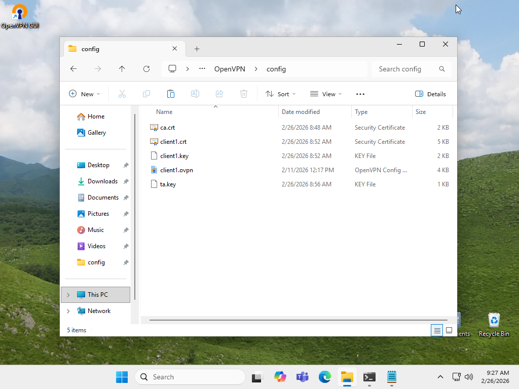 openSUSE Leap 16 : OpenVPN : Configure VPN Client : Server World