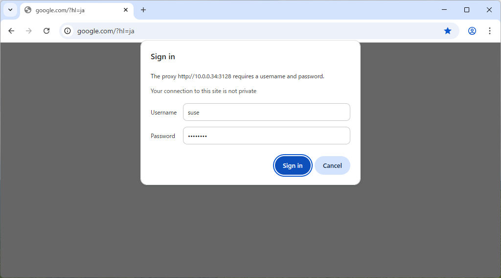openSUSE Leap 16 : Squid : Basic Authentication : Server World