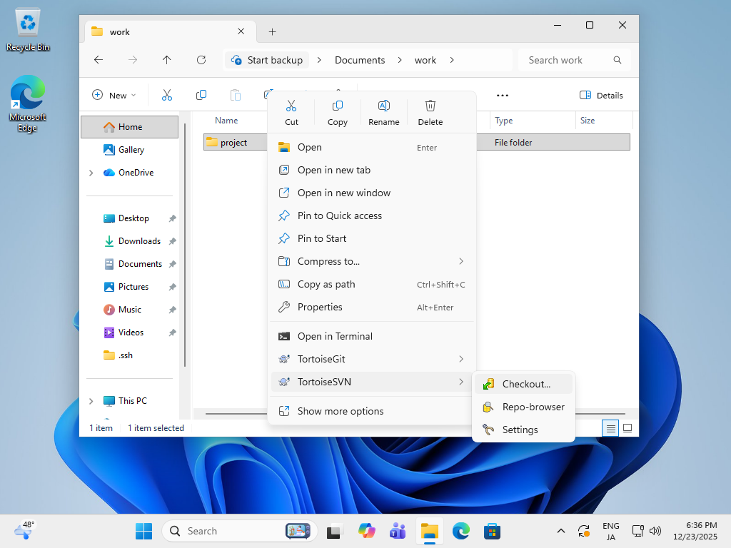 openSUSE Leap 16 : Subversion : Access from Windows Clients : Server World