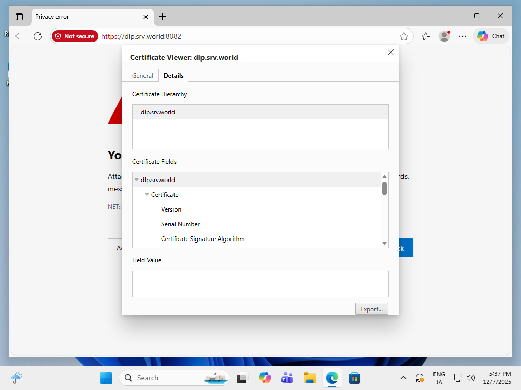 openSUSE Leap 16 : Code Server : Install : Server World